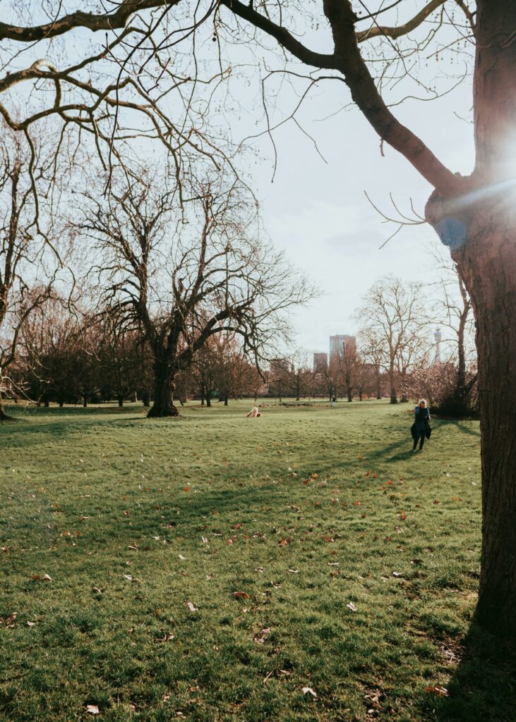 Image of a park in London